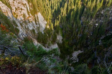 Sonbaharda büyük uçurumları ve çam ormanları olan dağlar
