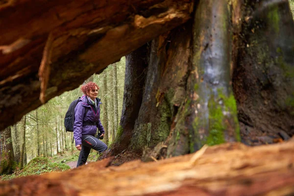 Kobieta Natura Fotograf Aparatem Wędrówki Lasu — Zdjęcie stockowe