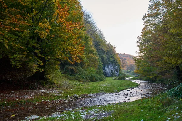 Lebendige Landschaft Eines Flusses Der Mitten Herbst Langsam Durch Einen — Stockfoto