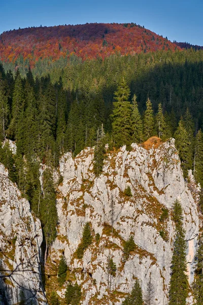 Hory Obrovskými Útesy Borovými Lesy Podzim — Stock fotografie