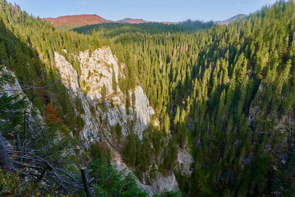 Hory Obrovskými Útesy Borovými Lesy Podzim — Stock fotografie