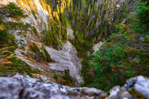 Гори Величезними Скелями Сосновими Лісами Восени — стокове фото
