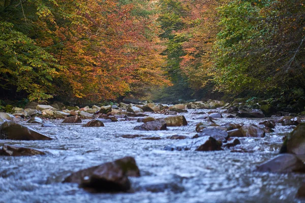 Vibrant Landscape River Slowly Flowing Colorful Forest Mid Autumn — Stock Photo, Image