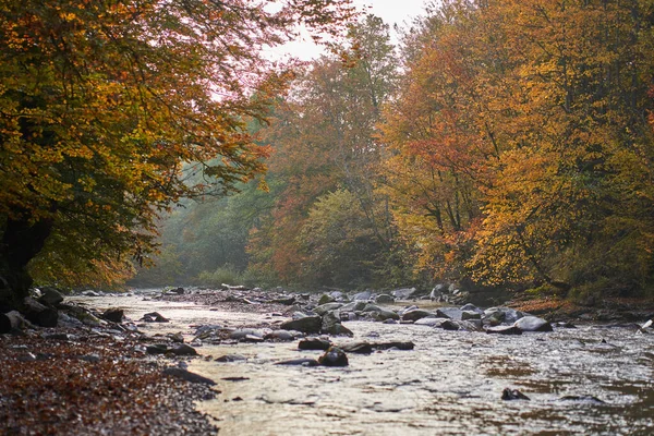 Paisaje Vibrante Río Que Fluye Lentamente Través Colorido Bosque Mediados — Foto de Stock