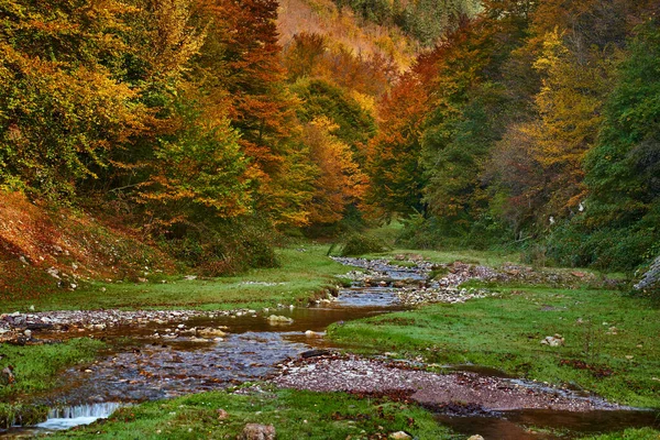 Vibrant Landscape River Slowly Flowing Colorful Forest Mid Autumn — Stock Photo, Image