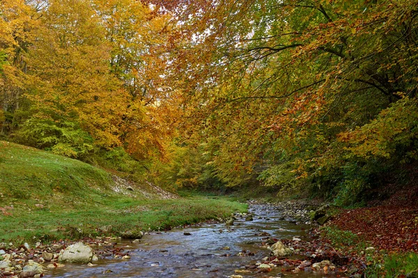 Levendig Landschap Van Een Rivier Langzaam Stromend Door Een Kleurrijk — Stockfoto