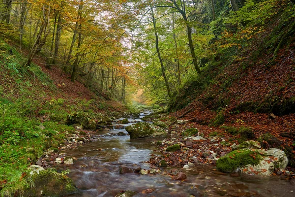 Paisaje Vibrante Río Que Fluye Lentamente Través Colorido Bosque Mediados —  Fotos de Stock