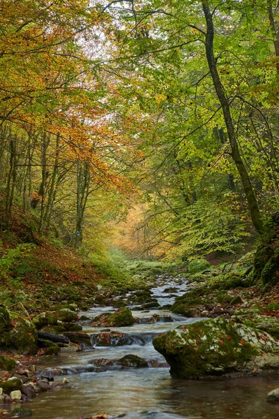 Vibrant Landscape River Slowly Flowing Colorful Forest Mid Autumn — Stock Photo, Image