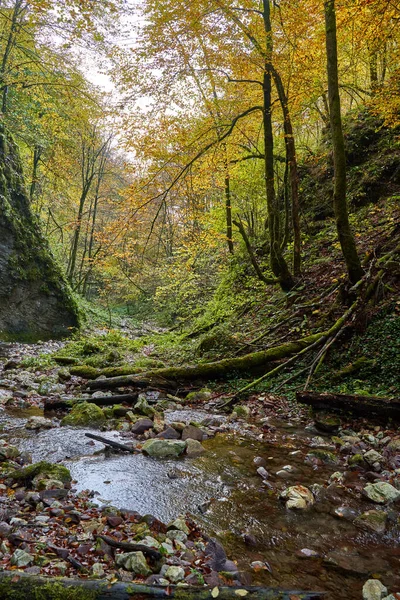 Paisaje Vibrante Río Que Fluye Lentamente Través Colorido Bosque Mediados —  Fotos de Stock