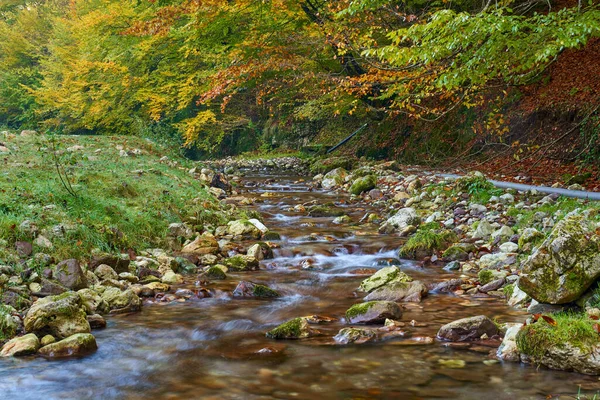 Sonbaharın Ortasında Renkli Bir Ormanın Içinden Yavaşça Akan Bir Nehrin — Stok fotoğraf