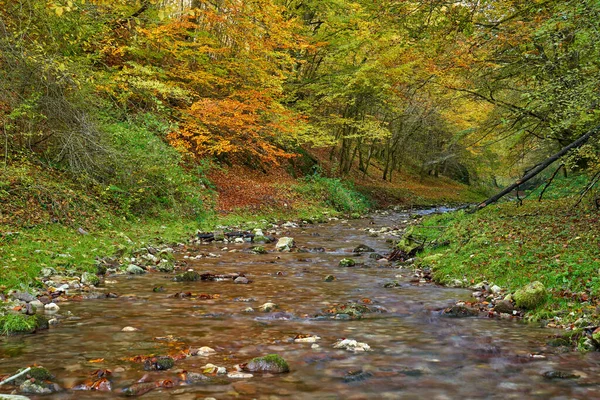 Paisaje Vibrante Río Que Fluye Lentamente Través Colorido Bosque Mediados — Foto de Stock