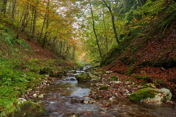 Paisaje Vibrante Río Que Fluye Lentamente Través Colorido Bosque Mediados — Foto de Stock