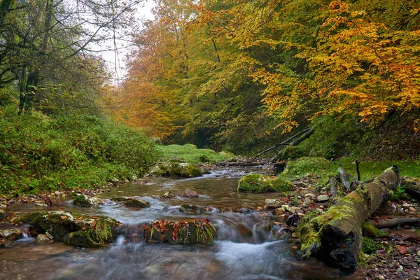 Paisaje Vibrante Río Que Fluye Lentamente Través Colorido Bosque Mediados — Foto de Stock