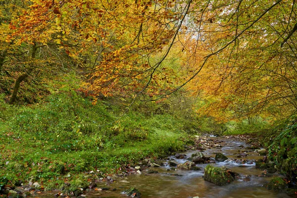 Paisaje Vibrante Río Que Fluye Lentamente Través Colorido Bosque Mediados — Foto de Stock