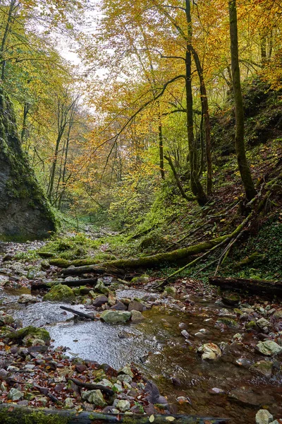Lebendige Landschaft Eines Flusses Der Mitten Herbst Langsam Durch Einen — Stockfoto