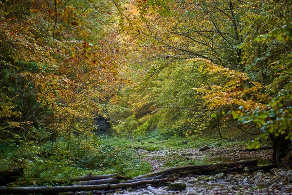 Lebendige Landschaft Eines Flusses Der Mitten Herbst Langsam Durch Einen — Stockfoto