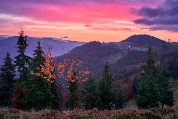 Пейзаж Восходом Солнца Холодным Ноябрьским Утром Горах Покрытых Различными Лесами — стоковое фото