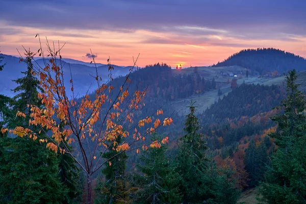 Landscape Sunrise Cold November Morning Mountains Covered Various Forests — Stock Photo, Image