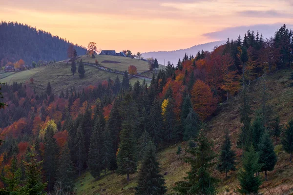 Landschaft Mit Sonnenaufgang Einem Kalten Novembermorgen Den Mit Verschiedenen Wäldern — Stockfoto