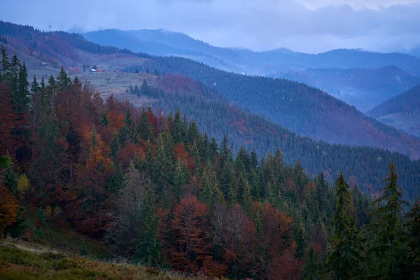 Montanhas Cobertas Florestas Coloridas Outono — Fotografia de Stock