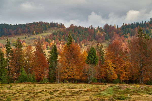 Montañas Cubiertas Coloridos Bosques Otoño — Foto de Stock