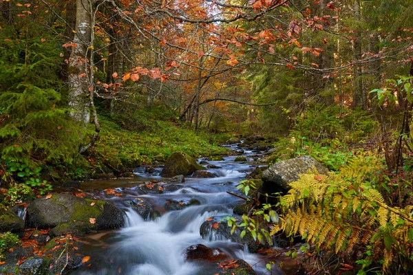 Paisaje Vibrante Río Que Fluye Lentamente Través Colorido Bosque Mediados —  Fotos de Stock