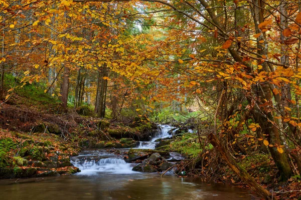 Paisaje Vibrante Río Que Fluye Lentamente Través Colorido Bosque Mediados — Foto de Stock