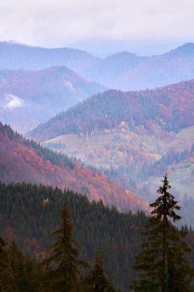 Berge Die Herbst Mit Farbenfrohen Wäldern Bedeckt Sind — Stockfoto