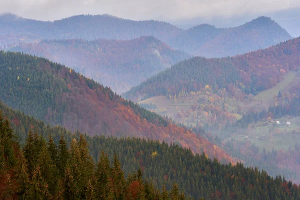 Hory Pokryté Barevnými Lesy Podzim — Stock fotografie