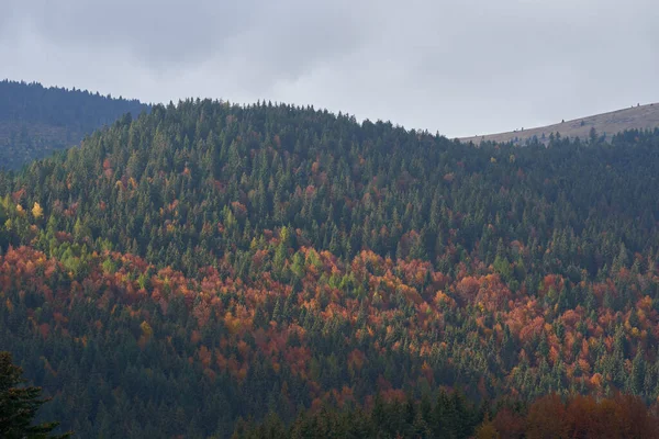 Montanhas Cobertas Florestas Coloridas Outono — Fotografia de Stock