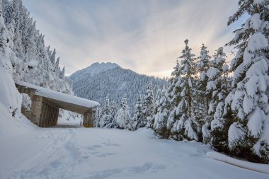 Kışın karla kaplı yolların manzarası