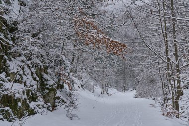 Kışın karla kaplı yolların manzarası
