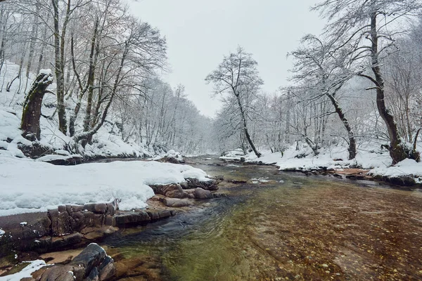 Winterlandschaft Mit Einem Fluss Gebirgspass — Stockfoto