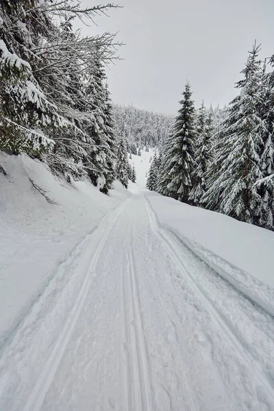 Kışın Karla Kaplı Yolların Manzarası — Stok fotoğraf