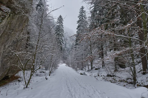 Landscape Road Covered Snow Winter — Stock Photo, Image