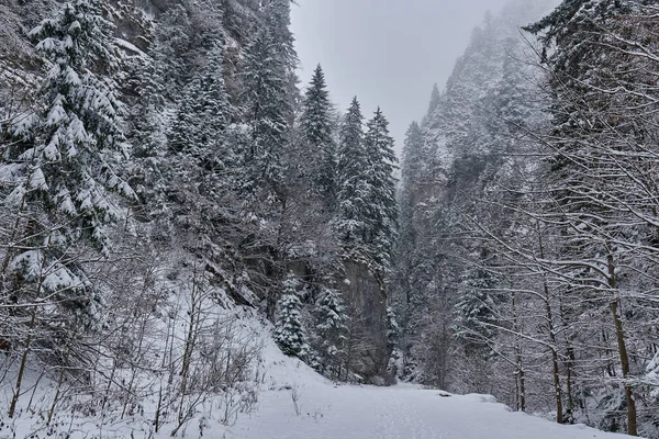Paisagem Com Estrada Coberta Neve Inverno — Fotografia de Stock