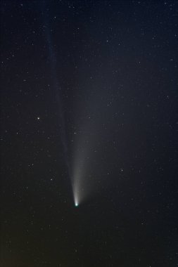 C/2020 F3 NEOWISE comet seen from Northern hemisphere clipart