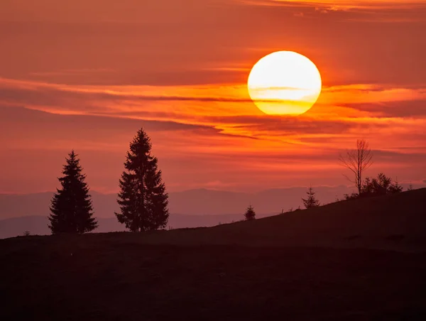 Landschaft Mit Sonnenaufgang Einem Kalten Novembermorgen Den Mit Verschiedenen Wäldern — Stockfoto