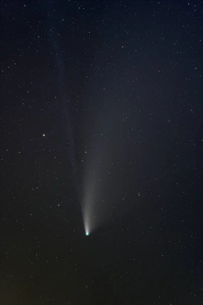 Κομήτης 2020 Neowise Ορατός Από Βόρειο Ημισφαίριο — Φωτογραφία Αρχείου