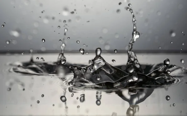 Close Van Water Spatten Een Tank Macro Schot — Stockfoto