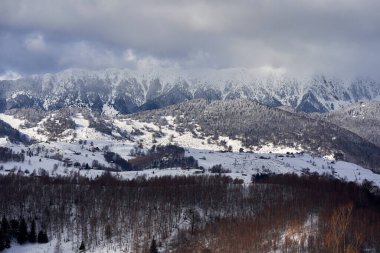 Kış zamanı dağların ve ormanların manzarası.