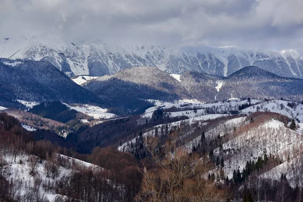 Paisagem Tiro Montanhas Florestas Tempo Inverno — Fotografia de Stock
