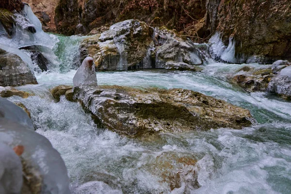 河流上流过峡谷的冰柱 免版税图库照片