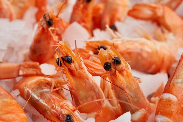 Closeup Raw Red Shrimps Fresh Fish Market Kept Ice — Stock Photo, Image