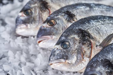 Closeup of fresh cooled whole raw breams on ice