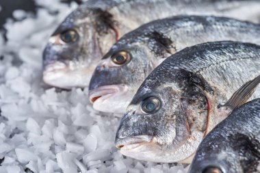 Closeup of fresh cooled whole raw breams on ice