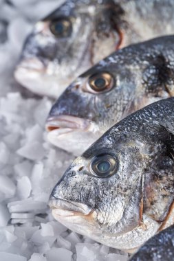 Closeup of fresh cooled whole raw breams on ice