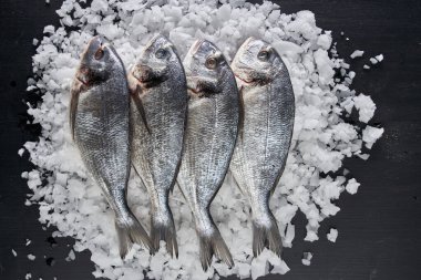 Raw breams on ice on a black wooden board flat lay shot