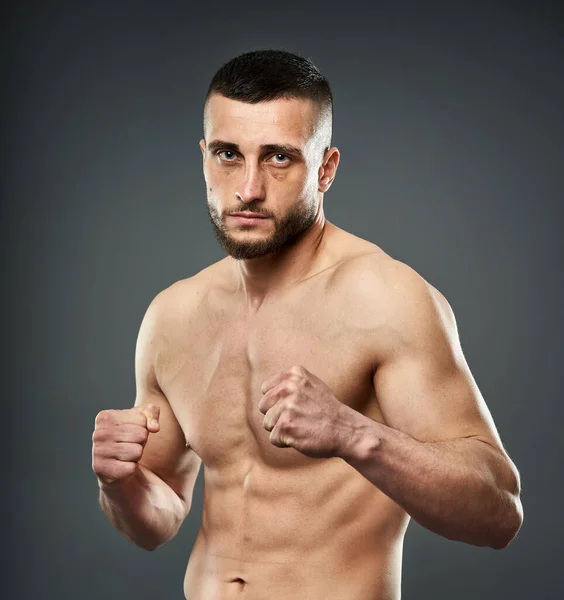 Young shirtless athletic fighter posing isolated on gray background