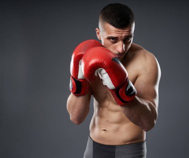 MMA dövüş eğitimi, gri arka planda izole edilmiş stüdyo çekimi.